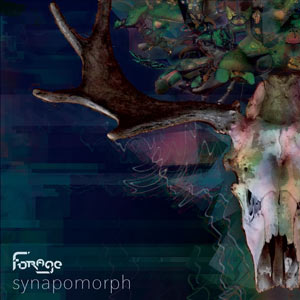 Synapomorph – final cover art