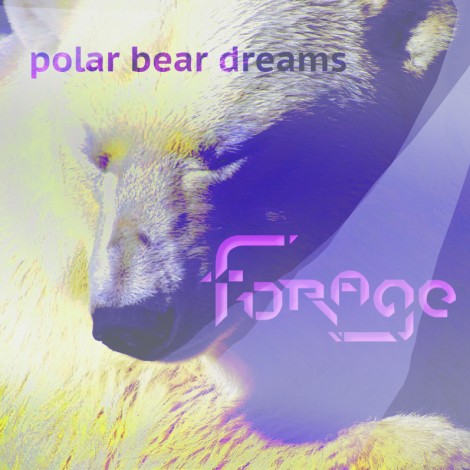 dj forage – polar bear dreams