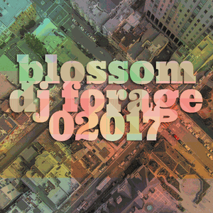 dj forage – blossom festival 02017 Saturday
